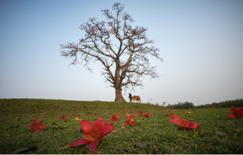 中国·88858cc永利(股份)官方网站