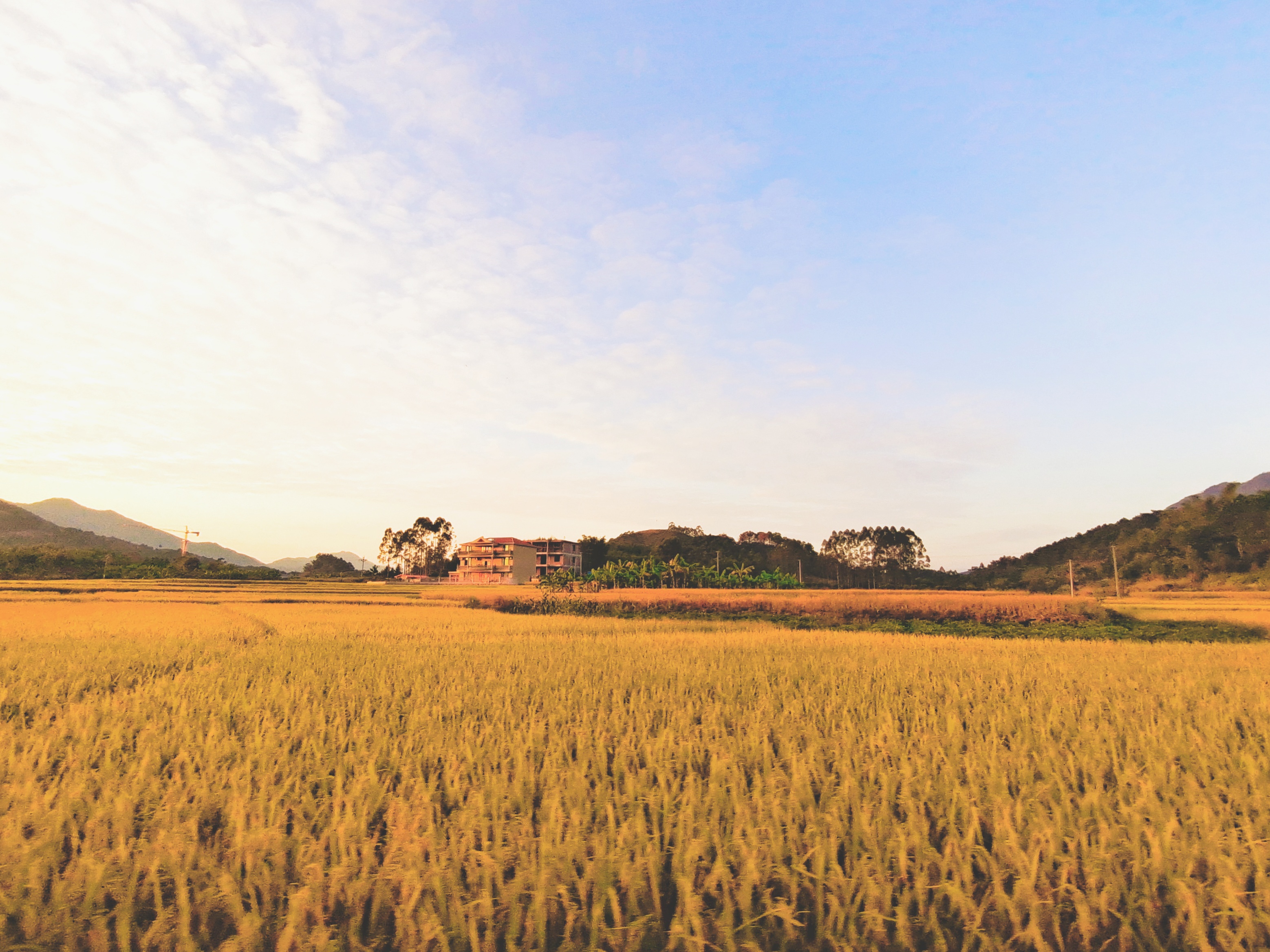 中国·88858cc永利(股份)官方网站