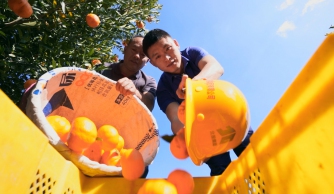 广西88858cc永利官网“百年风华 交透风范”天下交通运输摄影大赛参赛作品——滇桂一家亲