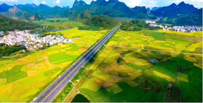 中国·88858cc永利(股份)官方网站