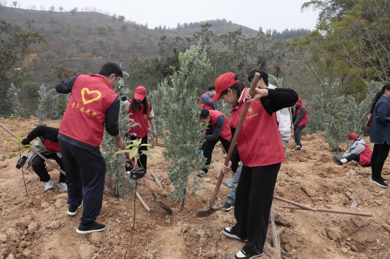 中国·88858cc永利(股份)官方网站