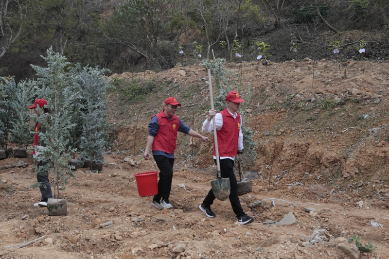 中国·88858cc永利(股份)官方网站